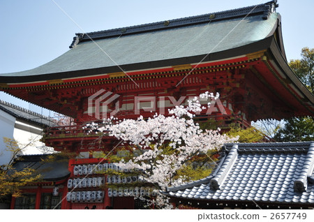 Kyoto Yasaka Shrine Minamiromon Kyoto Yasaka Shrine Minamiromon 2657749