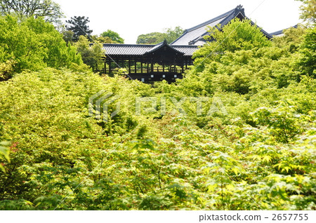 京都Tofukuji寺廟橋樑和新綠色 京都Tofukuji寺廟橋樑和新綠色 2657755
