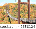 suspension bridge, autumn leaf viewing, maple 2658124