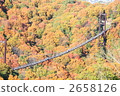 suspension bridge, autumn leaf viewing, maple 2658126