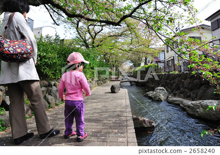 Two-territorial water 2 2658240