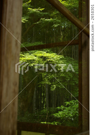 Bamboo grove of Chusonji Bamboo grove of Chusonji 2658301