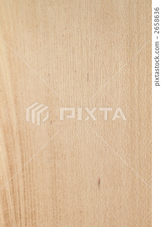 Zelkova木材 2658636