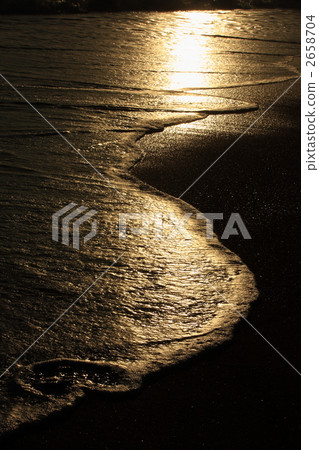 Golden Golden 2658704