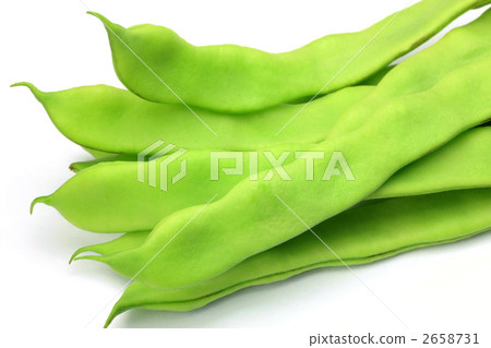 摩洛哥豆 摩洛哥豆 2658731