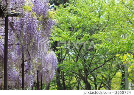 富士貨架 2658734