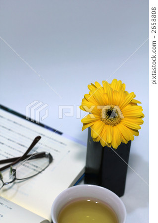 gerbera, gerberas, teacup 2658808