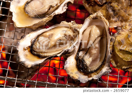 fried oysters, oyster cooked with shell, persimmon 2659077