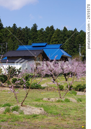 Spring rural landscape 2659378