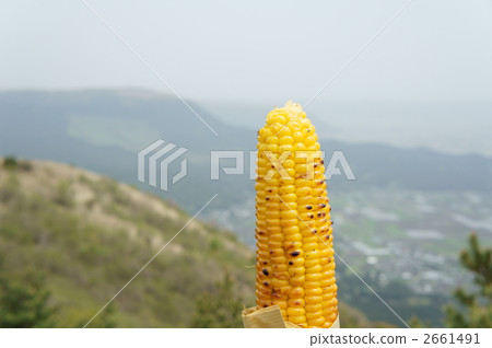 烤玉米 留白空間 留白部分 2661491