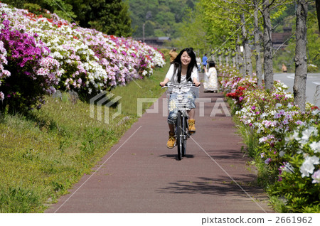 女孩和花道 女孩和花道 2661962