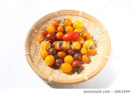 五顏六色的西紅柿 2661994