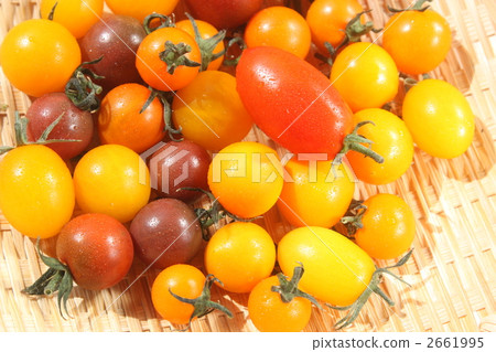 Colorful tomatoes 2661995