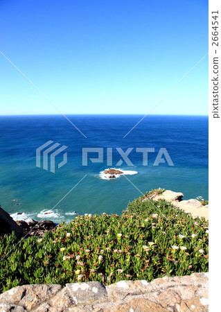 Wild grass at Cape Roca 2664541