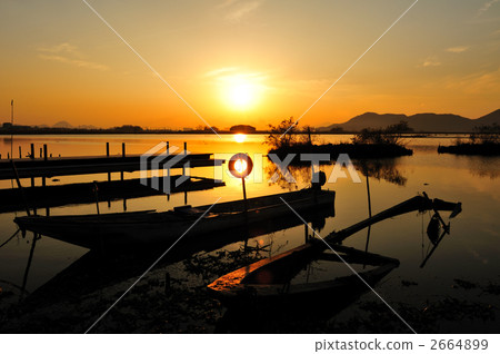 The grace of the sun. 2664899