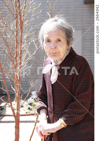 老人 祖母 奶奶 2664942