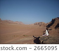 desert, deserts, wadi rum 2665095