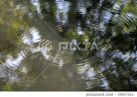 在新鮮的綠色山區,Amenbo傳播美麗的波紋和游泳 在新鮮的綠色山區,Amenbo傳播美麗的波紋和游泳 2665161