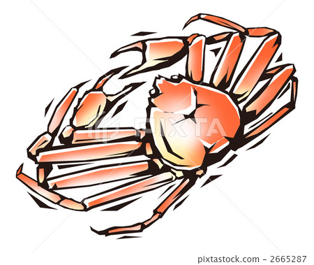 matsuba crab, illustration 2665287