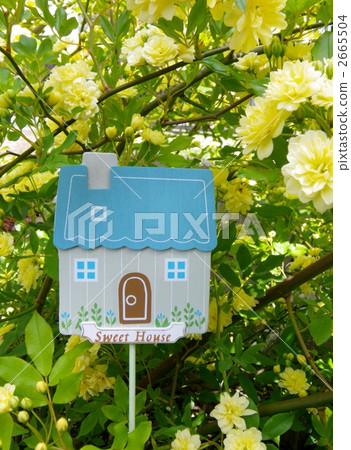 yellow flower, double-flowered, sundries 2665504