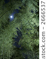 竹林和月亮 2666537