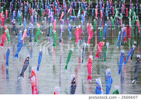 Carp streamer 2666607