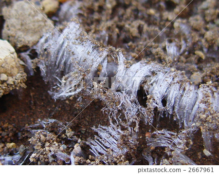 冷晨霜柱 2667961