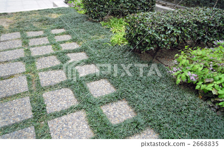 Roof top green Roof top green 2668835