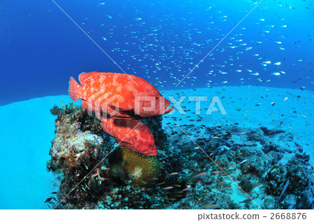 Azahata in Nishihama Azahata in Nishihama 2668876