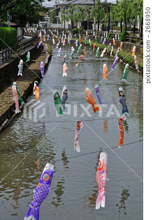 Toomigi walking · Toyomagawa where carp streamers were decorated 2668950