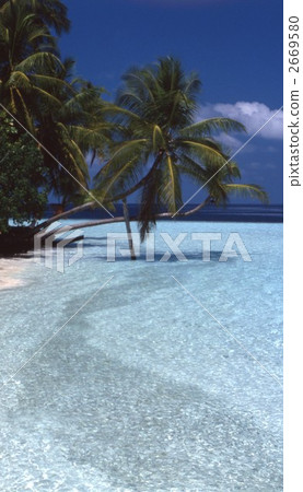 馬爾代夫 2669580