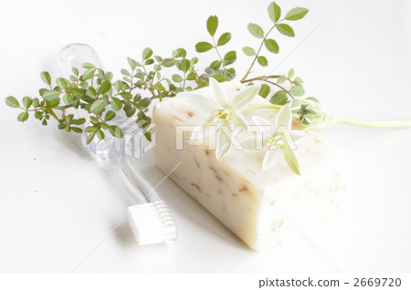 toiletries, toiletry, soap 2669720