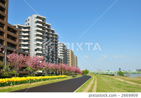 Double-cherry-blossoming apartment group 2669909
