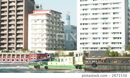 一點天空樹 2671538