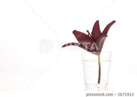 Yuri Randini 2671913