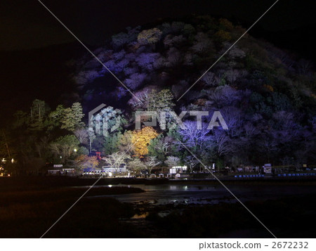 嵐山花光路·點亮 嵐山花光路·點亮 2672232