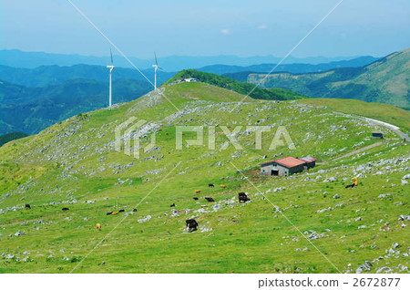 shikoku karst, karst plateau, meadow 2672877