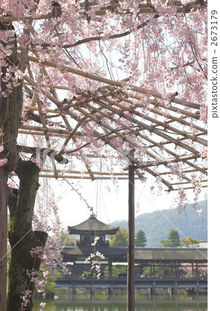 平安神宮靖西神社 2673179