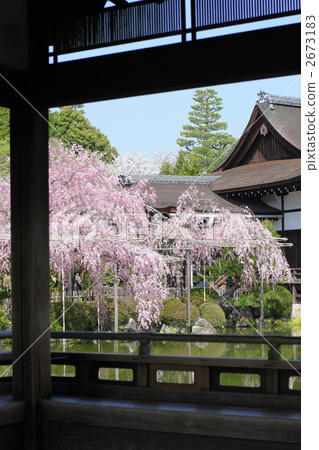 平安神宮靖西神社 平安神宮靖西神社 2673183