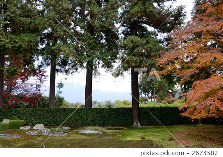 Mt. Hiei在Yuen寺廟從事園藝在京都，日本 2673502