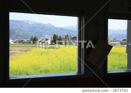 Rapeseed field from the car window 2673742