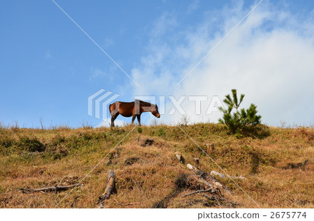 Misaki Ma Misaki Ma 2675774