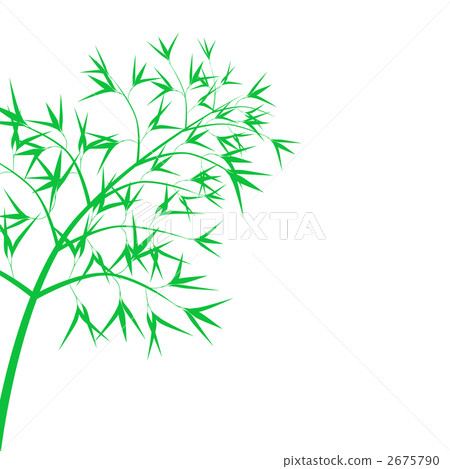 竹草 2675790