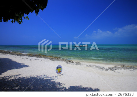 Beach of Okinawa Taketomi-jima sandstone 2676323