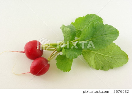 Radish 2676982