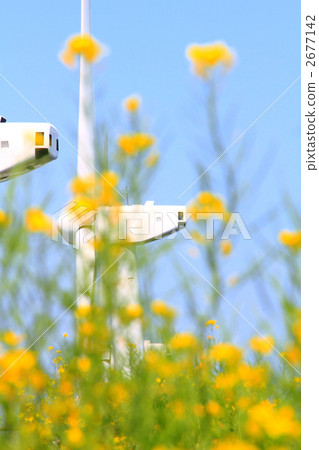 Wind power generator propeller and sunny rape flower field vertical Wind power generator propeller and sunny rape flower field vertical 2677142