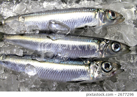 An amusing parlor 2677296