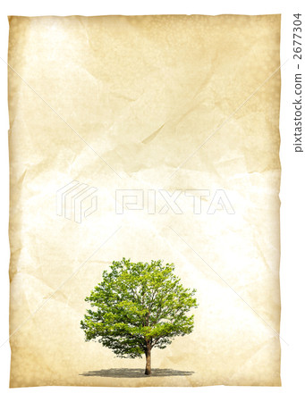 立木 樹木 樹 2677304