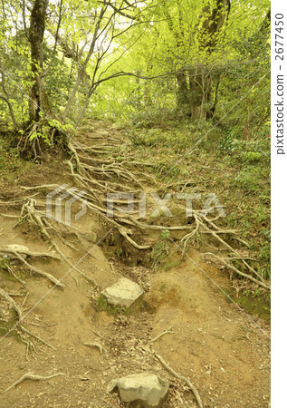 Sansho-ji寺廟Kazura Saka 2677450