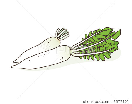 蔬菜（蘿蔔）的插圖 2677501